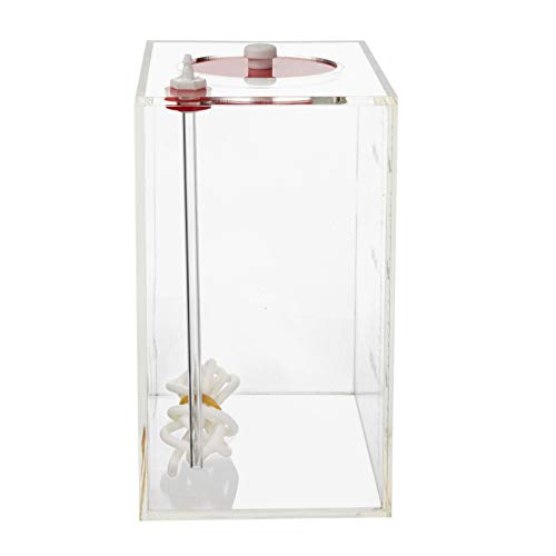 Aquarium Choice Acryli Made Liquid Storage Bucket Dosing Pump Reservoir Container (6.3 * 4.25 * 7.28 Inch;2500ml/2.5L) - size: 6.3*4.25*7.28 Inch;2500ml/2.5L（Red）