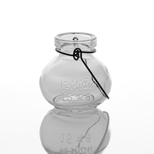 Richland Vintage Jar Mini Hanging Glass Vase Set of 48 - color: Clear, size: 2.75'' (Set 48)