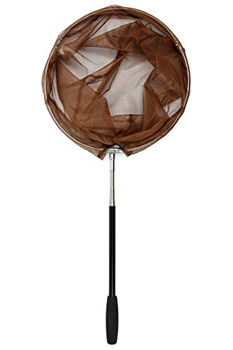 RESTCLOUD Bait Net and Fishing Landing Net with Telescoping Pole Handle Extends to 59 inches - color: Brown
