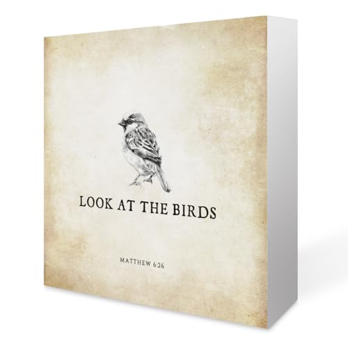 Inspirational Bible Verse Look at The Birds Wooden Box Sign Matthew 6:26 Scripture Desk Decor Rustic Scripture Wood Block Plaque Box Sign for Home Bedroom Office Shelf Table Decoration - color: Matthew 6:26