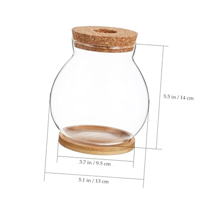 Desktop Hydroponic Glass Fish Bowl with Cushion Small Betta Fish Tank for Plant Terrarium Decor with Mat for Home and Office