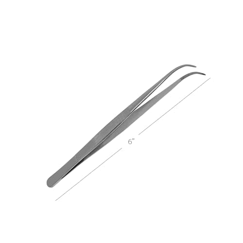 Splinter Forceps - Fine Point - Tweezers Stainless Steel Straight & Curved (Curved 6") - size: Curved 6"