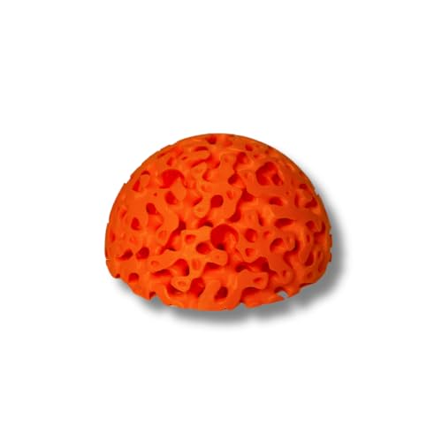 REEFSHAPE Aquarium Dome Coral Frag Stand | Coral Reef Replica Frag Stand Base for Growing Coral | Displays Multiple Frags | Made in USA (Burnt Orange) - color: Burnt Orange