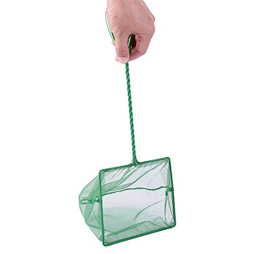 Lpraer 4in 5in 6in Aquarium Fish Net Green Fine Mesh Nylon Net Collection with 11" Long Handle Square Quick Catch Fish Net for Fish Tank - color: Green, size: 6 inch