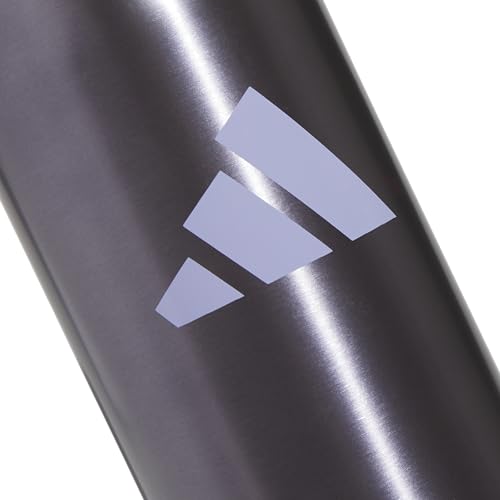 adidas Stainless Steel Metal Water Bottle 20 oz (600 mL) Straw Lid - color: Preloved Violet/Silver Violet Purple
