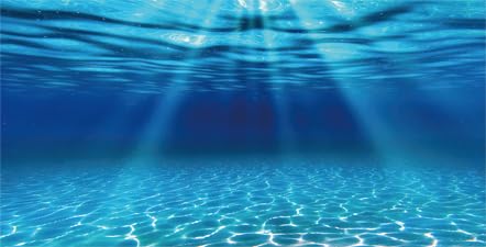 Natural Undersea Aquarium Background, Underwater Ocean Sunlight Fish Tank Background 24X16IN with 8 EVA Double-Sided Tape - color: Ocean, size: 24X16in/60X40cm