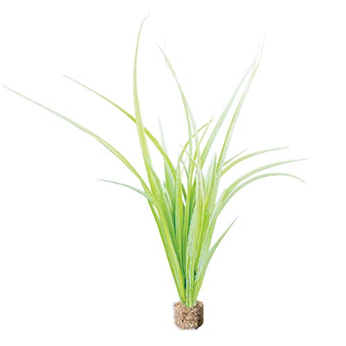 Vita Aquascape Fountain Grass Aquarium Plant – Lifelike Artificial Tall Midground Plant with Weighted Base, Non-Toxic Fish Tank Decor, Light Green (12” Tall) - color: Light Green Fountain Grass