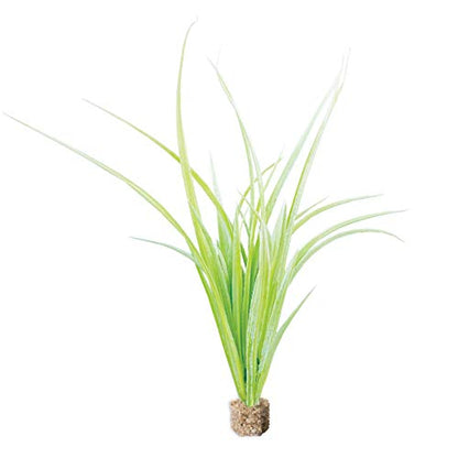 Vita Aquascape Fountain Grass Aquarium Plant – Lifelike Artificial Tall Midground Plant with Weighted Base, Non-Toxic Fish Tank Decor, Light Green (12” Tall) - color: Light Green Fountain Grass