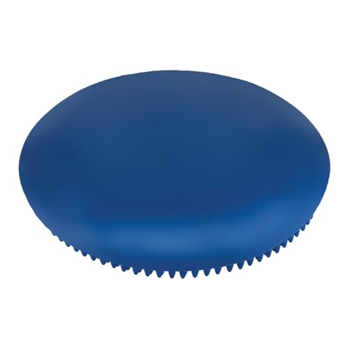 Champion Sports Exercise Disc