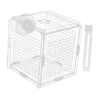 Toddmomy 1set Fish Tank Isolation Box Cups and Hook Acrylic Breeding Holder for Safe Fish Separation Design for Easy Installation and Cleaning