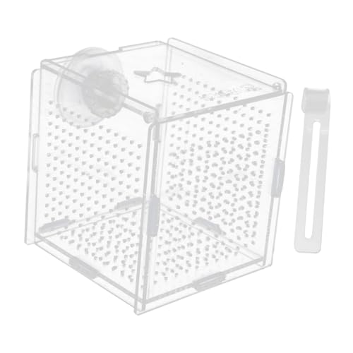 Toddmomy 1set Fish Tank Isolation Box Cups and Hook Acrylic Breeding Holder for Safe Fish Separation Design for Easy Installation and Cleaning