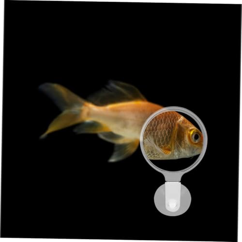 GANAZONO Acrylic Fish Tank Magnifier with Cup Clear Observation Tool for Small Animals Plants and Landscapes and Lightweight Glass for Aquariums