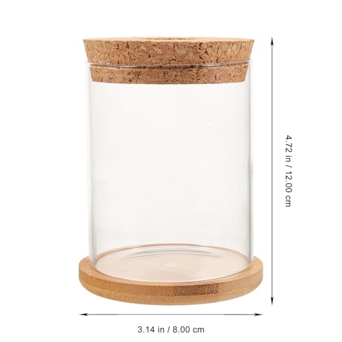 WOONEKY Glass Fish Bowl Goldfish Bowl Hydroponic Plant Terrarium Container 8x10cm with Mat for Desktop Home Aquarium Decor