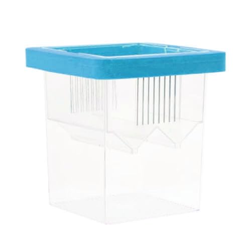 Baby Fish Breeding Box Clear Isolation Aquarium Hatchery Incubator with Suction Cups for Newborns Shrimp Fish Hatchery - color: Blue