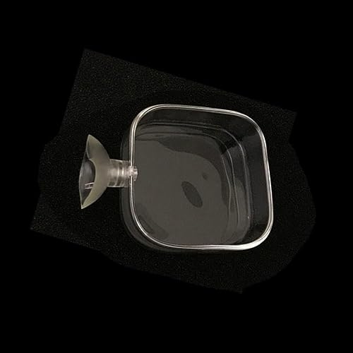 Shrimp Food Box, Round/Square Practical Fish Feeding Bowl, Acrylic Transparent Aquarium Accessories Fish Feeding Dish Shrimp Food Feeding Circle(D) - style: D