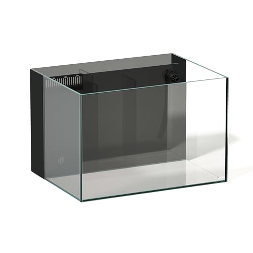 Landen 60P 26.23 Gallon Ultra Clear All Glass Rimless Low Iron Aquarium Tank with Rear Filtration Chamber for Salt and Fresh (Return Pump Included) 23.6Wx17.7Dx15.8H in(60x45x40cm) 8mm Thickness