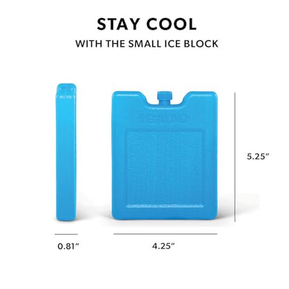 Igloo Maxcold Ice Block - color: 4pk small