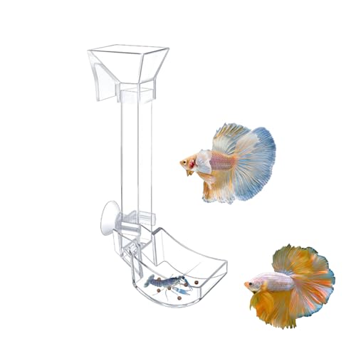 Aquarium Fish Shrimp Feeding Dish Set - Clear Feeder Tube and Dish With Cleaning Brush and Measuring Spoon for Shrimp - Prevents Food Scattering - Supplies for Small Fish - size: Small