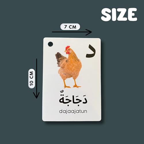 Arabic Alphabet Flash Cards for Kids Toddler and Adults, Arabic First Words, Letter Recognition, Homeschool Learning, Arabic Teacher