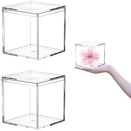 Acrylic Box with Lid Clear Square Cube Plastic Decorative Boxes Clear Display Candy Box Jewelry Storage Boxes for Birthday Party Favor - size: 4 x 4 x 4 Inch