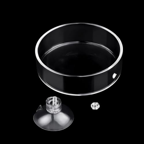 Aquarium Glass Feeder Shrimp Feeding Dish Round Clear Fish Tank Food Tray Container Prevent Food Spilling with Suction Cup, 65mm - size: 65mm