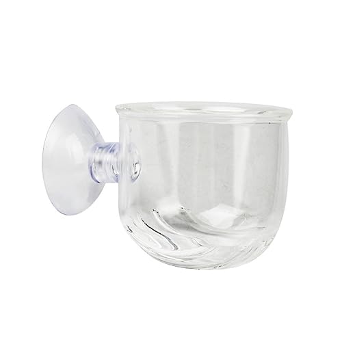 2Pc Clear Glass Feeding Cups for Fish for Red and Brine Shrimp Aquarium Equipment for Aquatic Supplies Enhance Fish Feeding Experience