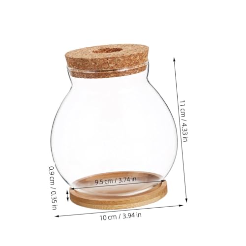 DOITOOL Small Glass Fish Bowl with Lid, Hydroponic Mini Fish Tank 10x11cm, Glass Aquarium with Mat for Desktop Office and Home Terrarium