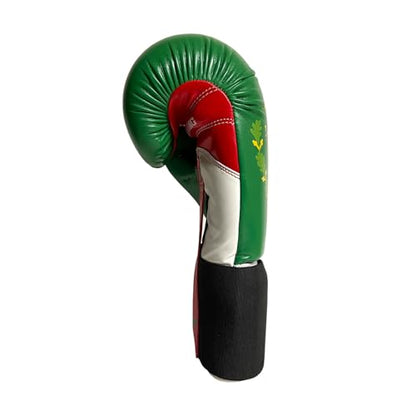 Ringside Limited Edition IMF Tech Boxing Training Sparring Gloves - color: Mexico