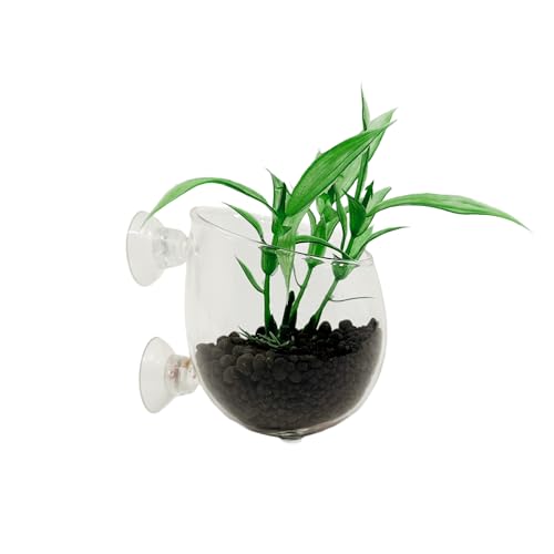 Aquarium Suction Cup Plant Holder – Glass Wall Planter for Fish Tanks, Aquatic Plant Propagation Cup for Pothos and Live Aquarium Plants