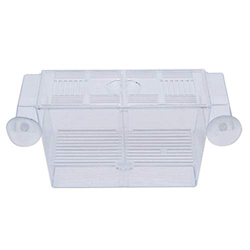 Fish Breeding Box Tank Aquarium Fish Tank Guppy Double Breeding Breeder Rearing Trap Box Hatchery Aquarium Isolation Box for Baby Shrimp Guppy
