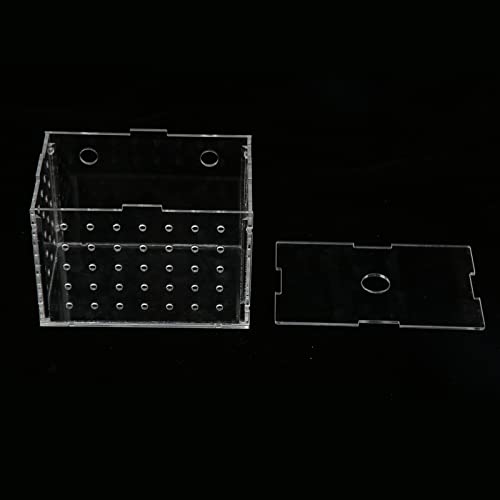 Fish Breeder Box, Aquarium Fish Breeding Box, High Transparency Acrylic Hatchery Incubator with Suction Cups for Baby Fish Shrimp Clownfish Isolation and Rearing (11 * 7 * 8CM) - size: 11*7*8CM