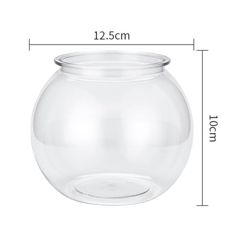 Baoblaze Transparent Small Fish Tank Straw Organizer Vase for Office Table Home Decor Plants and Reusable Counter Makeup Brush Holder