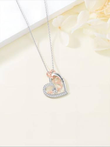 Graduation Gifts for Women 925 Sterling Silver Compass/Graduation/Vet/Cross/Stethoscope Necklace for Women - color: Stethoscope-Dentist
