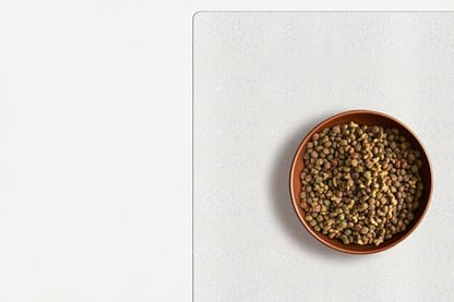 Clear Pet Bowl Mat, USA Made, Safe, Waterproof, 11 x 16.5 Inch, 2mm Thick Pebbled Vinyl, Dog Bowl Mat, Pet Floor Liner - color: Riverstone, size: 11 x 16.5 Inches