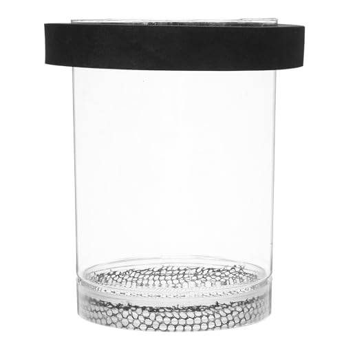 Ipetboom Floating Fish Breeding Box for Aquarium Tank - Plastic Hatching Box with Mesh Net for Baby, 5.9 X 3.9 X 3.9 in