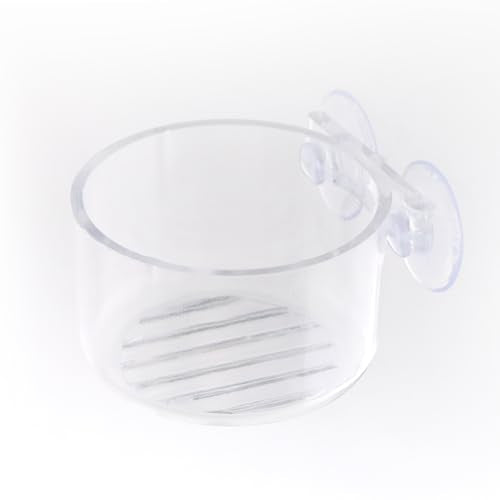 4 Pcs Jumping Spider Feeding Dish Water Bowl with Suction Cup for Jumping Spider Tarantula Millipede Small Reptiles