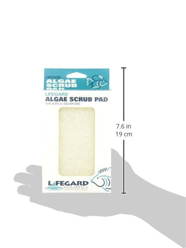 Lifegard Aquatics 4-Inch by 6-Inch White Algae Pad - size: Small