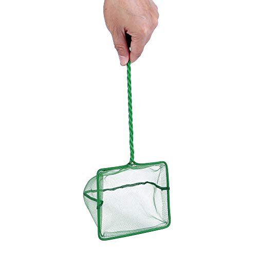 Lpraer 4in 5in 6in Aquarium Fish Net Green Fine Mesh Nylon Net Collection with 11" Long Handle Square Quick Catch Fish Net for Fish Tank - color: Green, size: 5 inch