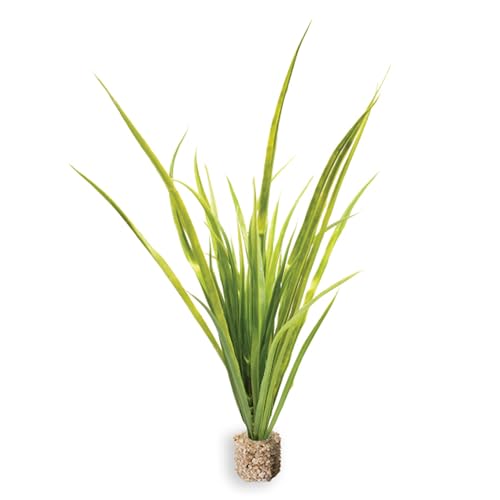 Vita Aquascape Collection Artificial Aquarium Decor – Ultra Realistic Plants and Lifelike Foliage for Aquariums and Terrariums (1, Medium Green Fountain Grass) - color: Medium Green Fountain Grass