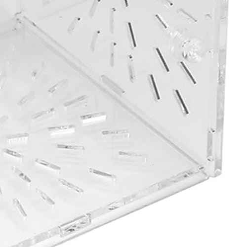 Fish Breeding Box, Transparent Acrylic Fish Isolation Box with Isolation Board, Fish Separator for Aquarium Fish Breeding, Shrimp Clownfish Guppy (10CM*10CM*10CM) - size: 10CM*10CM*10CM