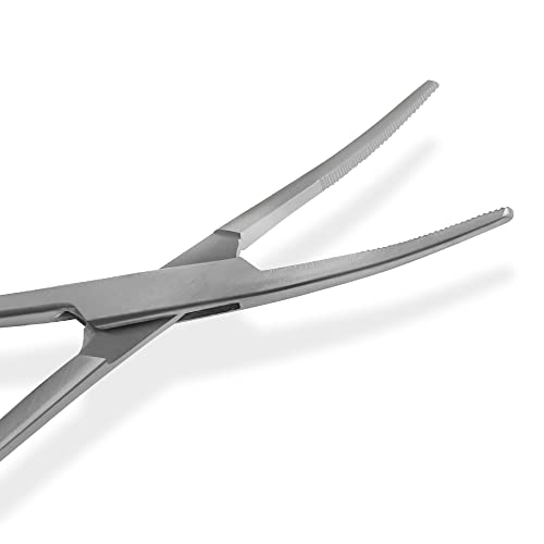 Ultimate Hemostat Set, 6 Piece Ideal for Hobby Tools, Electronics, Fishing and Taxidermy - 8", 6.25" and 5", Stainless Steel, Curved & Straight - size: 8", 6.25" & 5" - Curved & Straight