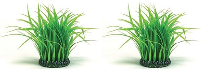 biOrb Grass Ring, Medium (Pack of 2) - size: Medium (Pack of 2)