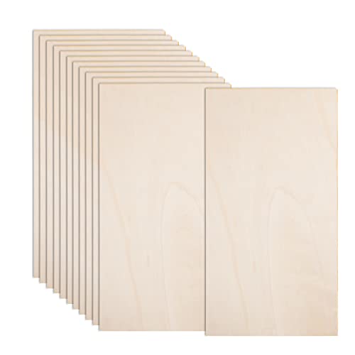 12 Pack 22 x 12 x 1/16 Inch-2 mm Thick Basswood Sheets for Crafts Unfinished Plywood Sheet Rectangular Craft Wood Sheet Boards for DIY Projects, Architecture Models, Engraving, Wood Burning, Staining - size: 22 x 12 inch
