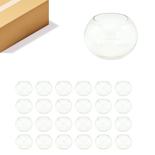 WGV Bowl Glass Vase, Diameter 5.1", Height 3.75", Open Width 3", (Multiple Sizes Choices) Clear Bubble Planter Terrarium Fish Bowl for Wedding Event Home Decor, 24 Pieces (VBW0005) - size: 5"Dx3.75"H 1 Case