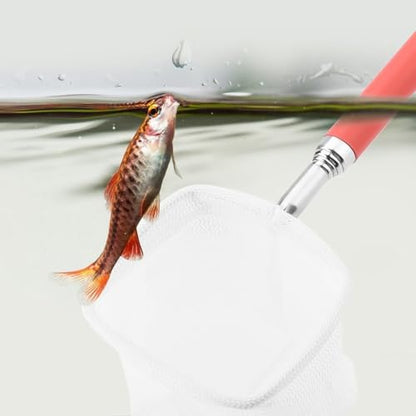 Green/Red Square Round Metal Aquarium Fish Net Mini Size Extendable Telescopic Fish Shrimp Landing Net Aquarium Fish Tank Tool - style: Red Square