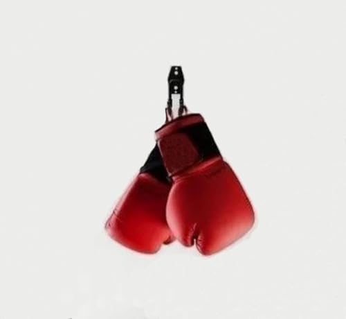 zoele Wall Mount Boxing Gloves Hanger, Wall Mount Boxing Glove Hook Hanger, Wall Boxing Gloves Rack Holder Wall Hook