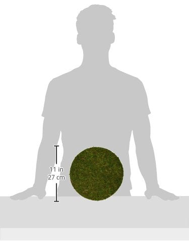 SuperMoss (26331) Moss Soil Toppers (Place Mats), Fresh Green, 24" (1 unit) - color: Fresh Green, size: 24" (1 unit)