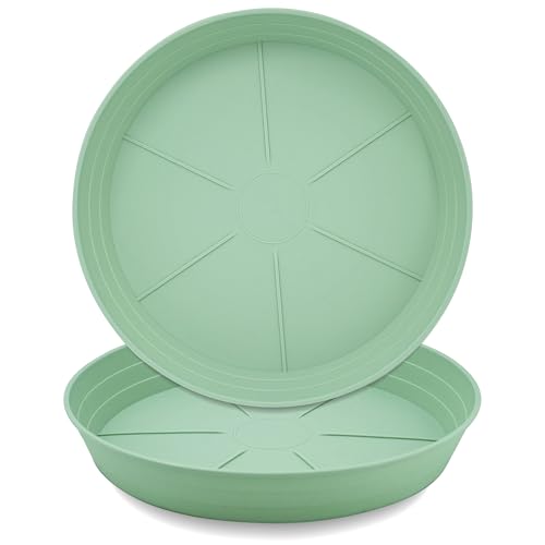 LWALRS Plant Saucer 14 Inch 2 Pack 6 8 10 12 14 16 18 20 25, Plastic Plant Trays for Pots，Extra-Deep Plant Water Dray Tray, Bird Bath Bowl, Heavy Flower Plant Saucers Indoors and Outdoor No Holes - color: Grass Green, size: 14in (2 Pack)
