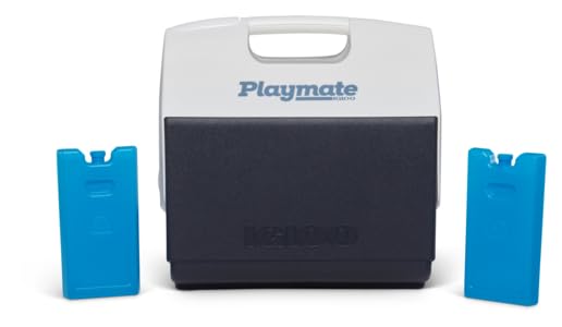 Igloo Maxcold Ice Block - color: 4pk small