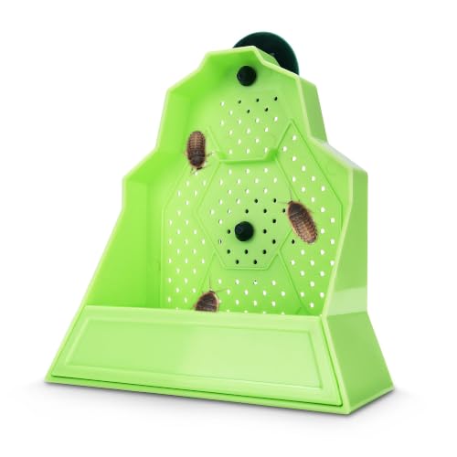Reptile Anti-Escape Feeding Bowl, Wall-Mounted Feeder for Reptile, Stimulate Hunting Accessories for Terrarium, Vivarium and Paludarium, Suitable for Lizard, Gecko & Frog, Small - color: Wall-Mounted Feeding Bowl, size: Small